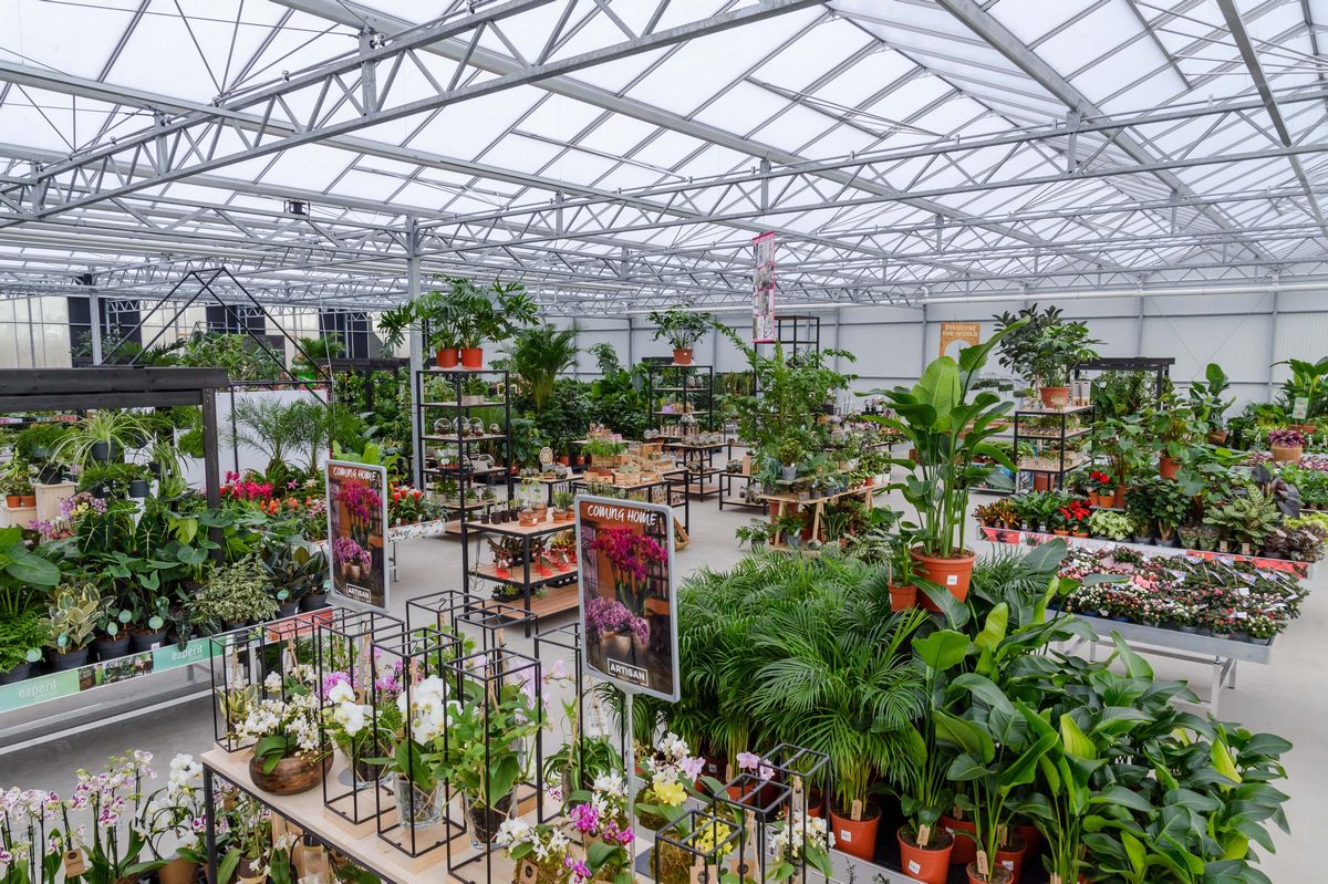 Plant Collect Boskoop