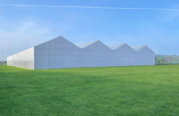 Kassenbouw Zwirs Horti projects