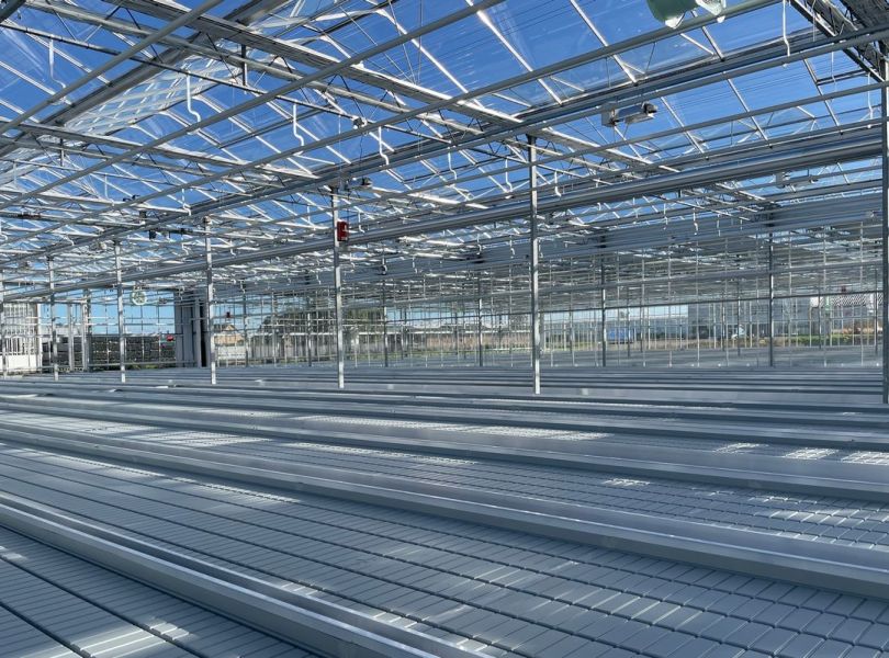 Dümmen Orange wide-span greenhouses - De Kwakel