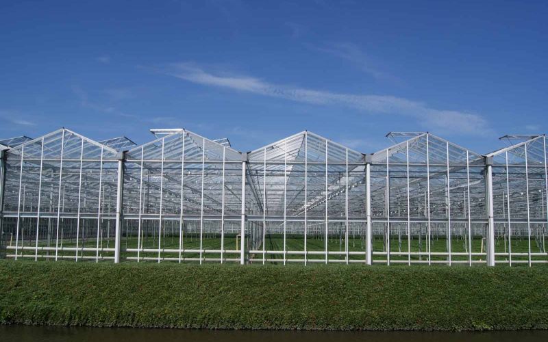 Zwirs Horti Projects | Kassenbouw Wereldwijd