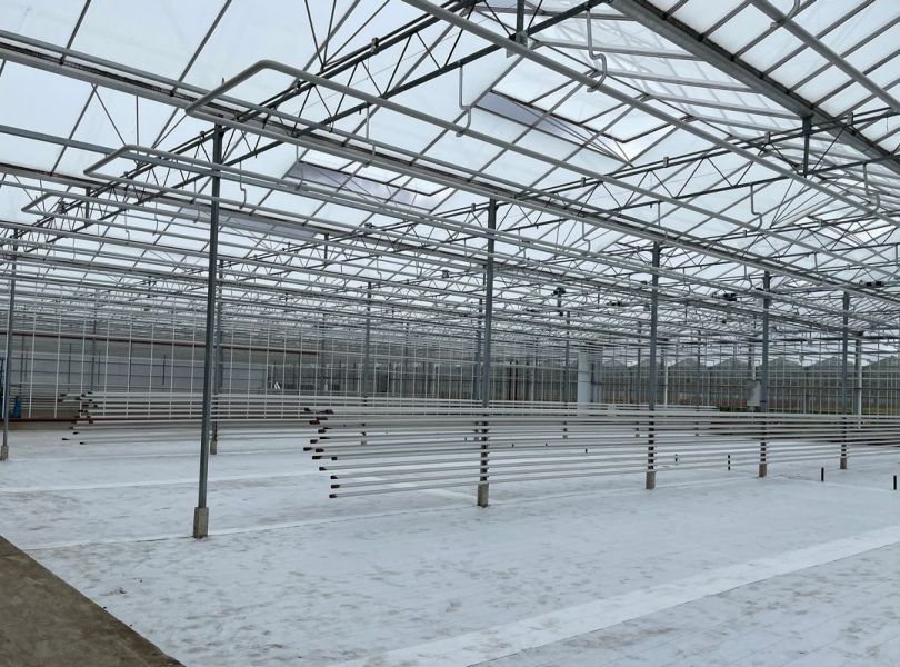 Dümmen Orange wide-span greenhouses - De Kwakel